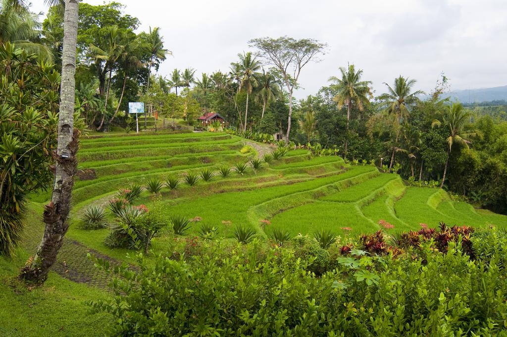 Puri Asri Hotel & Resort Магеланг Экстерьер фото